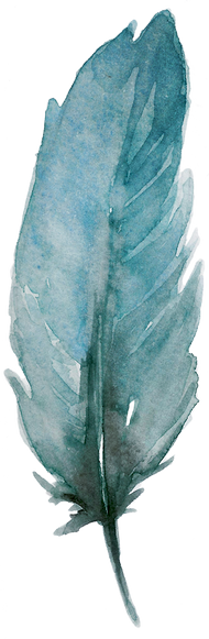Watercolor FEather Shape.